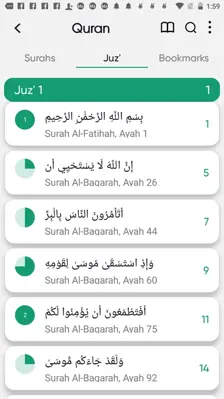 Holy Quran android App screenshot 9